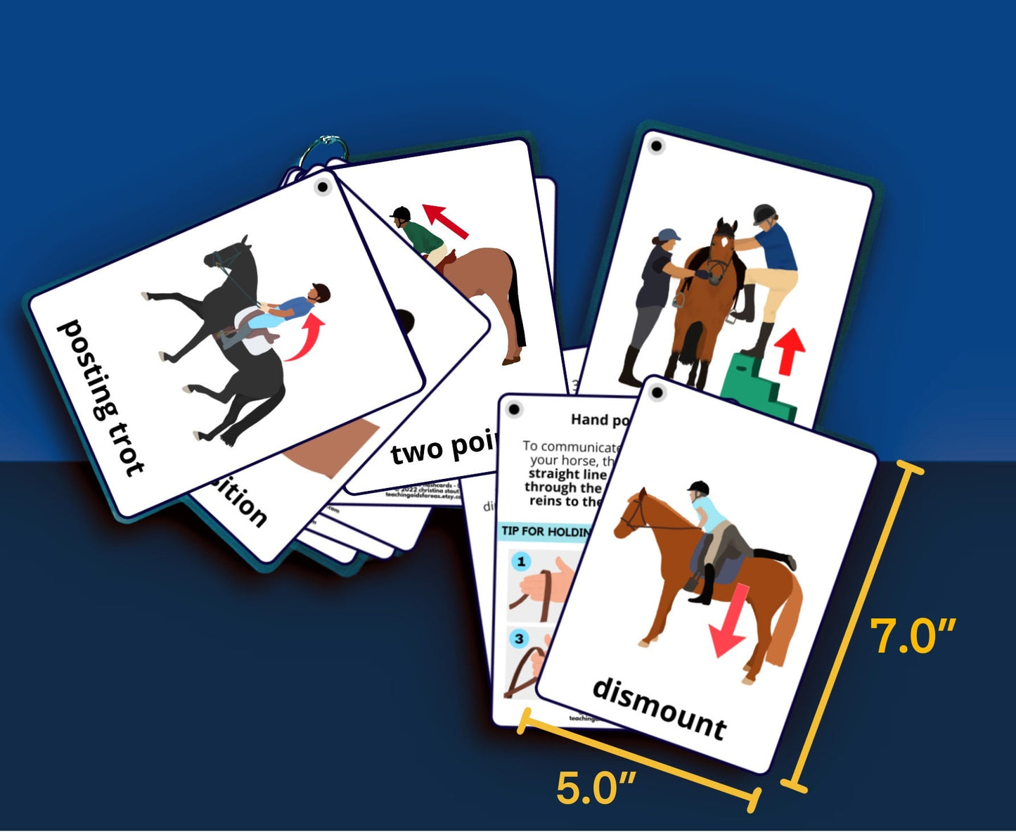 riding skills flashcards - Teaching Aids for EAS