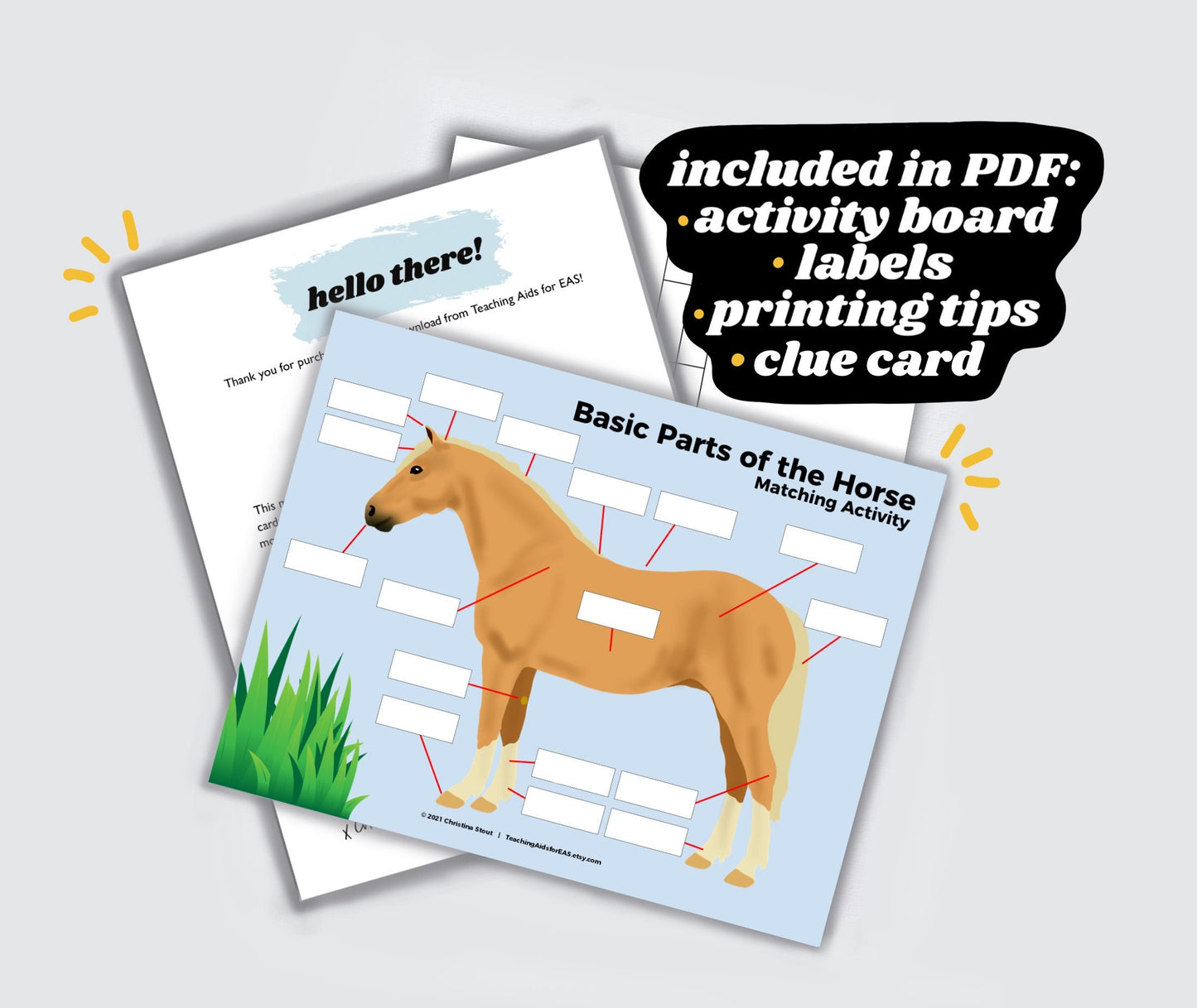 basic parts of the horse - PDF download - Teaching Aids for EAS