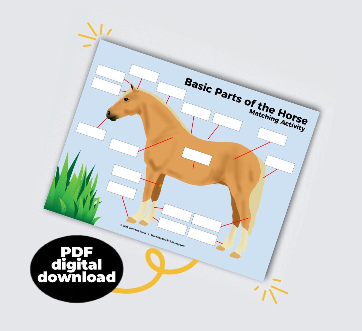 basic parts of the horse - PDF download - Teaching Aids for EAS