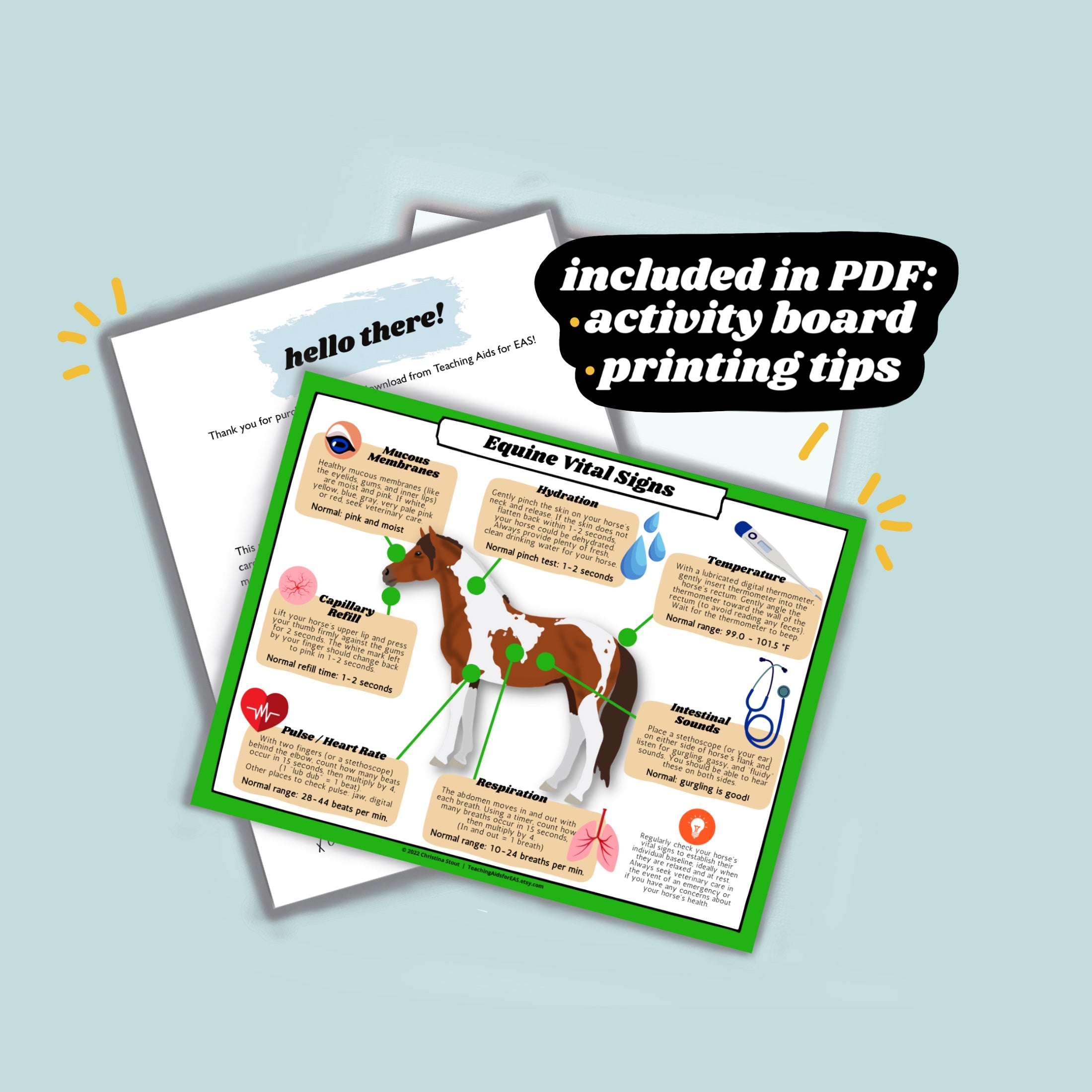 Teaching Aids for EAS: Visual Aids for Adaptive Riding Instructors
