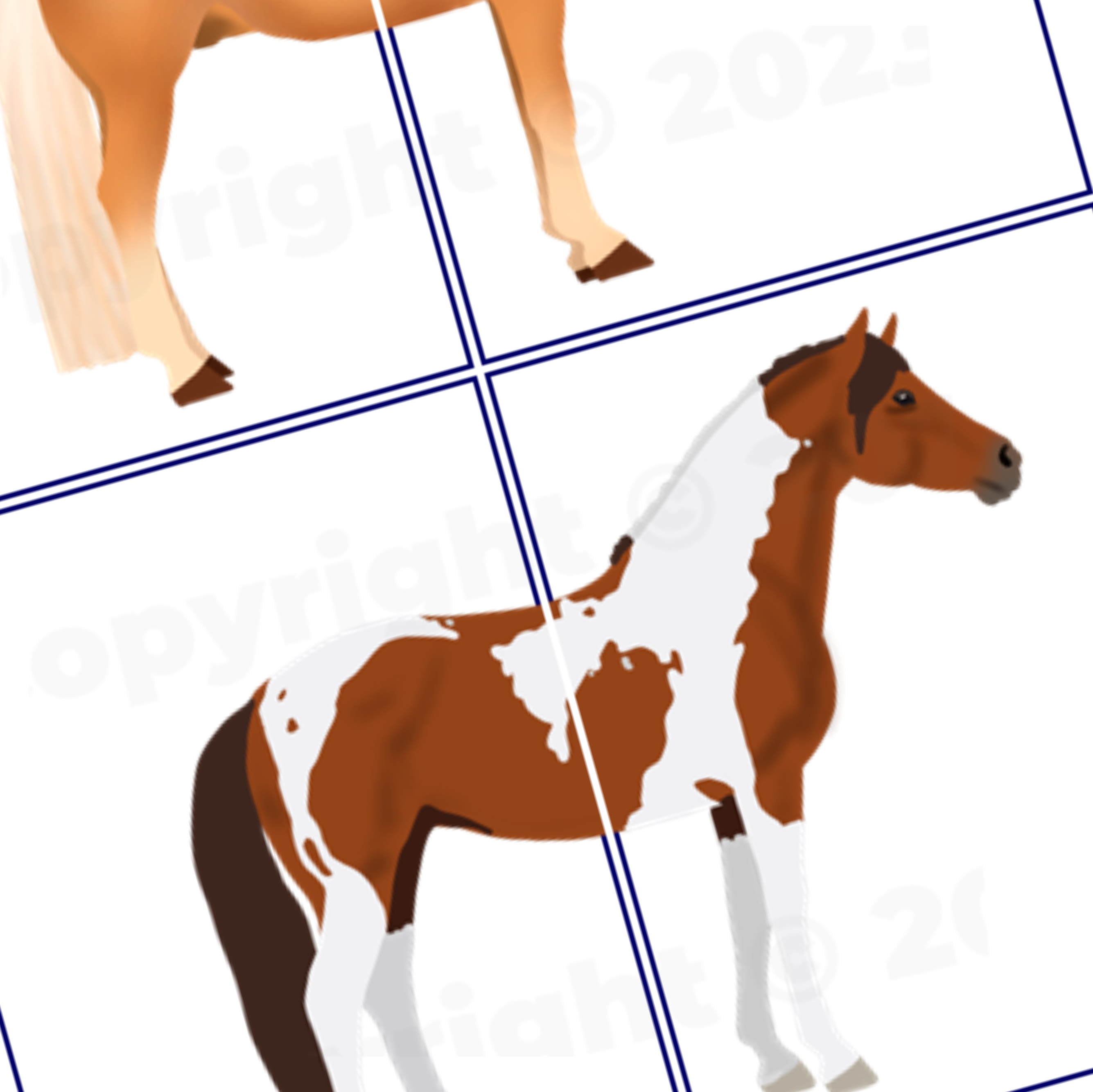 Heads & Tails Matching Game for Therapeutic/Adaptive Riding – Teaching ...